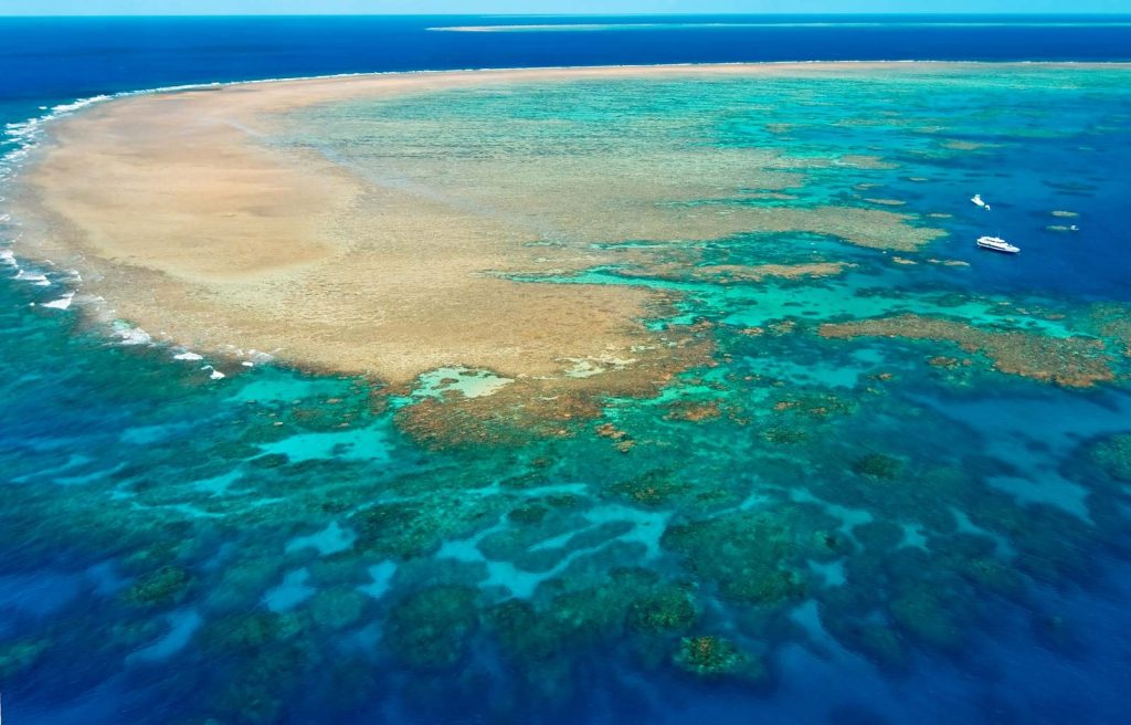 Great Barrier Reef absurdizi.com