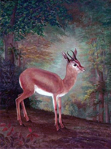 Şeker Ahmed Paşa eserleri